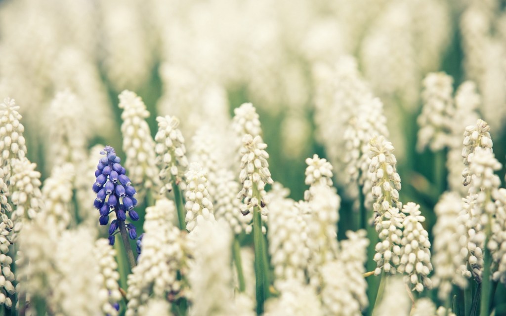 Variations on a Theme