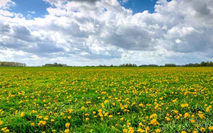 beautiful bloom blossom clouds